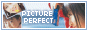 Picture Perfect